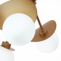 Купить Накладная люстра Evoluce SLE220502-05