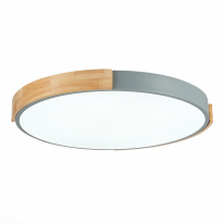 Купить Накладной светильник Evoluce SLE201372-01