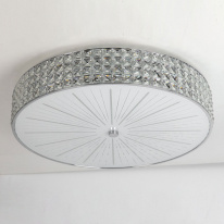 Купить с доставкой по Москве и России Накладной светильник Citilux CL324101