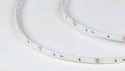 Лента SWG pro SWG2P84-24-8.6-NW в интернет магазине Гет Лайт