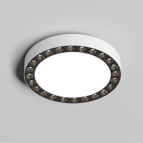 Фото Накладной светильник Denkirs DK2841-WB