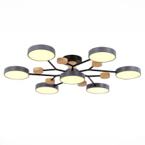 Купить Люстра на штанге Evoluce SLE6006-702-07