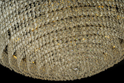 Купить с доставкой по Москве и России Подвесная люстра Arti Lampadari Salentino E 1.5.80.100 N