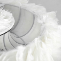 Цена на Подвесная люстра Lussole LSP-8602