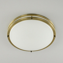 Купить Накладной светильник Citilux CL709503N