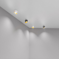 Цена на Встраиваемый светильник Elektrostandard 7005 MR16 WH/GD белый/золото