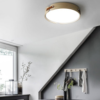 Купить с доставкой по Москве и России Накладной светильник ImperiumLoft 195539-26