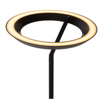 Купить с доставкой по Москве и России Торшер LUCIDE 03745/24/30