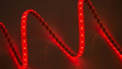 Лента SWG SWG560-24-14.4-RGB-68-M в интернет магазине Гет Лайт