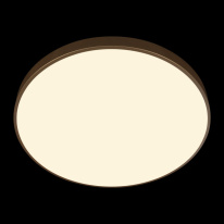 Купить с доставкой по Москве и России Накладной светильник LOFT IT 10228/B