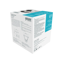 Светильник настенный Gauss GD027 в интернет магазине Гет Лайт