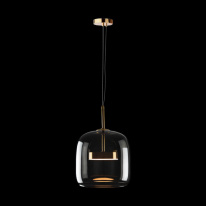 Купить с доставкой по Москве и России Подвесной светильник LOFT IT 10041A