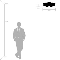 Купить Накладной светильник Lightstar 750164