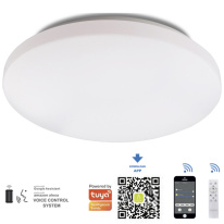 Купить Накладной светильник Mantra 5946