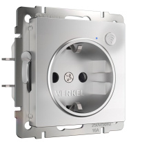 Фото Розетка Werkel W1171606