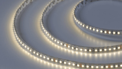 Фото Лента SWG SWG3120-24-9.6-NW-66-M