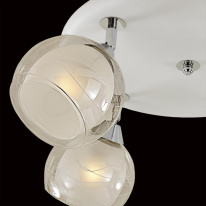 Цена на Накладная люстра Citilux CL158141