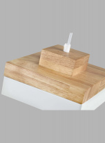 Купить Подвесной светильник Moderli V10479-1P