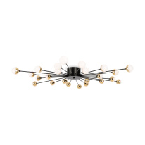 Накладная люстра Freya FR5242CL-24B Фото Накладная люстра Freya FR5242CL-24B