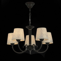 Купить Подвесная люстра Evoluce SLE120303-05