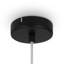 Купить с доставкой по Москве и России Подвесной светильник Maytoni MOD271PL-01B5