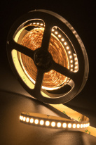 Цена на Лента SWG pro SWG2P168-24-17.3-WW-20