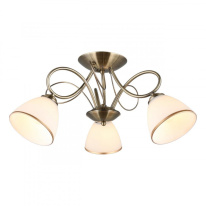 Фото Накладная люстра Omnilux OML-25307-03