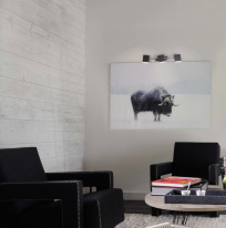 Цена на Спот Eurosvet 20000/3 черный