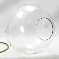 Купить Подвесная люстра Lussole LSP-9556