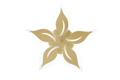 Купить Накладной светильник Natali Kovaltseva LED LAMPS 81162