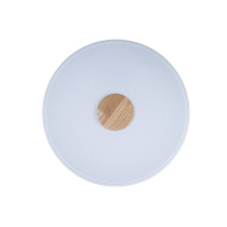 Купить Накладной светильник LOFT IT 10003/24 White