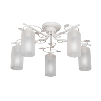 Фото Накладная люстра Vitaluce V4725-0/5PL