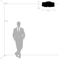 Купить Накладная люстра Lightstar 811052