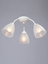 Фото Накладная люстра Vitaluce V3737-0/3PL