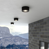 Цена на Накладной уличный светильник Elektrostandard Light LED 2135 (35141/H) черный