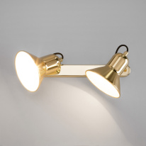 Купить Спот Eurosvet 20082/2 золото