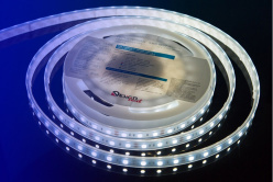 Фото Лента DesignLed DSG560-12-W-65