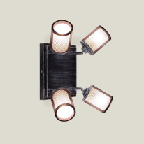 Купить Спот Citilux CL535541