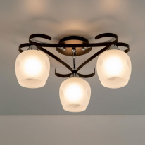 Купить с доставкой по Москве и России Накладная люстра Citilux CL171134