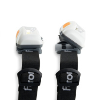 Купить с доставкой по Москве и России Фонарь Feron 41681