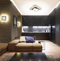 Купить с доставкой по Москве и России Накладной светильник Natali Kovaltseva 81038/4C