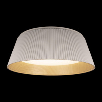 Купить с доставкой по Москве и России Накладной светильник LOFT IT 10224 White