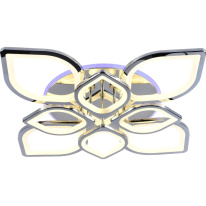 Фото Накладная люстра EVOLED SLE501012-08RGB