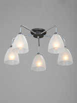 Купить Накладная люстра Vitaluce V4500-9/5PL