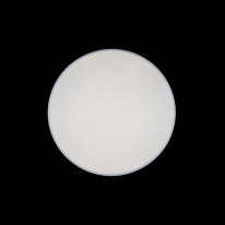 Купить с доставкой по Москве и России Накладной светильник LOFT IT 10002/48 White