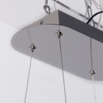 Купить с доставкой по Москве и России Подвесная люстра Favourite 4589-10P