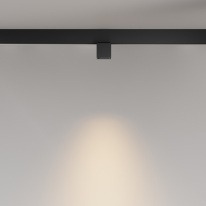 Цена на Светильник на шине Maytoni Technical TR133-2-7W3K-B