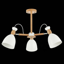 Люстра на штанге Evoluce SLE103802-03 в интернет магазине Гет Лайт