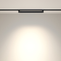 Светильник на шине Maytoni Technical TR010-1-20W4K-M-B Светильник на шине Maytoni Technical TR010-1-20W4K-M-B в интернет магазине Гет Лайт