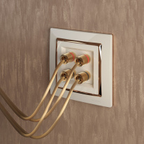 Купить Розетка Werkel W1185003